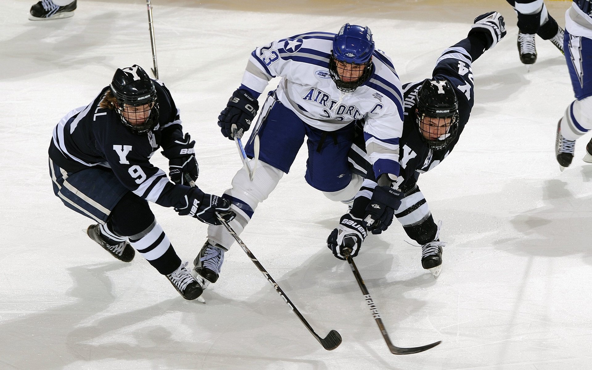 广州Tigers主场完胜，赢得球迷热烈掌声，广州队的主场在哪儿